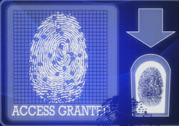 Illustration of a fingerprint with "Access Granted"