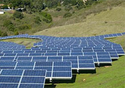 Photo of an array of ground-mounted solar panels