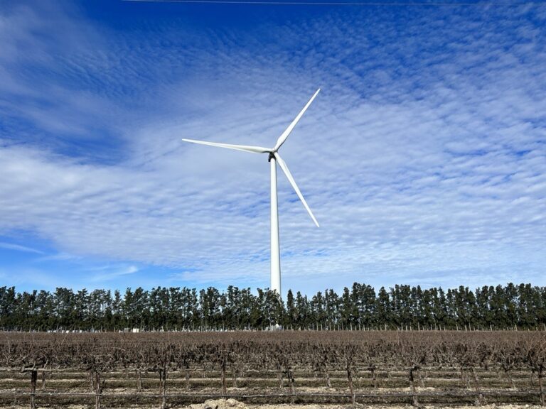 A wind turbine generates wind power in a vineyard field.