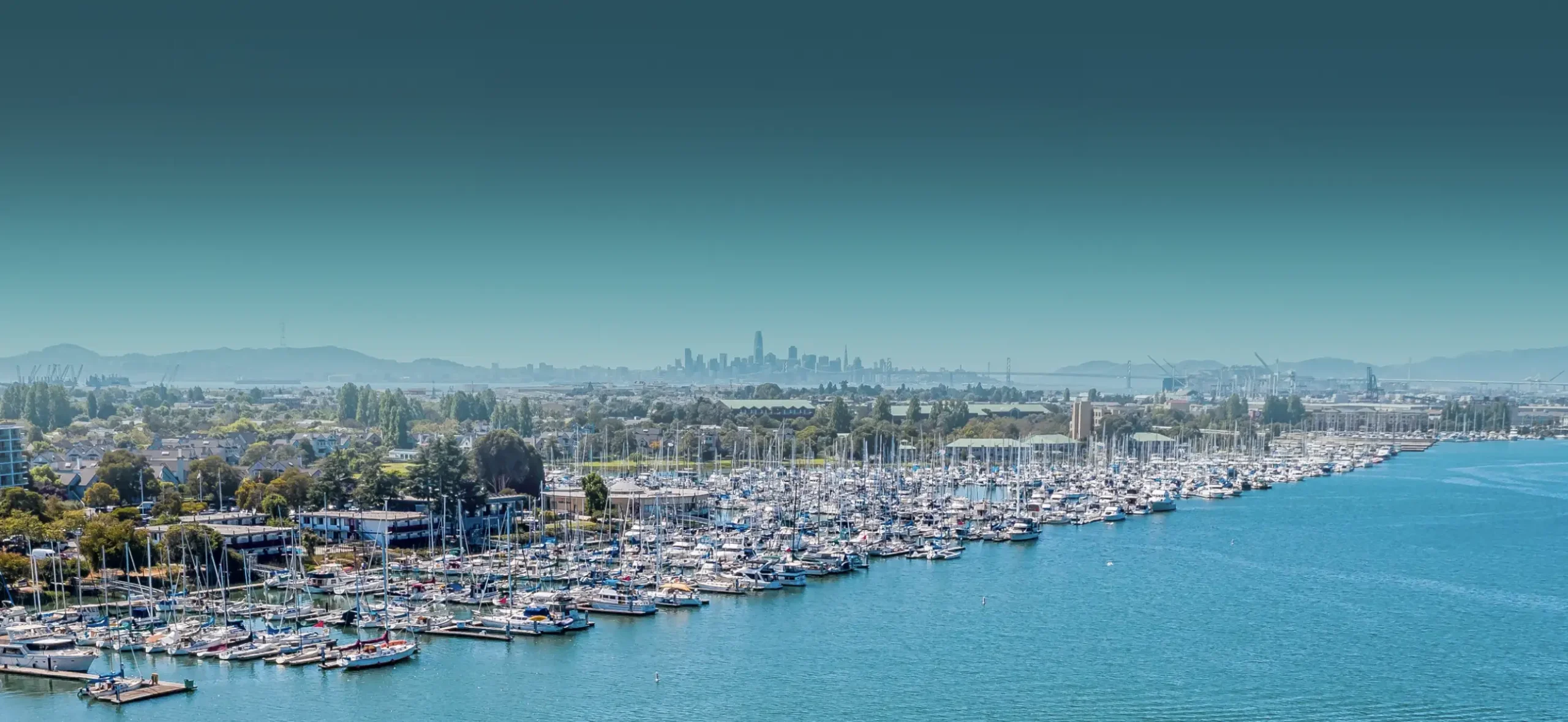 alameda bay banner