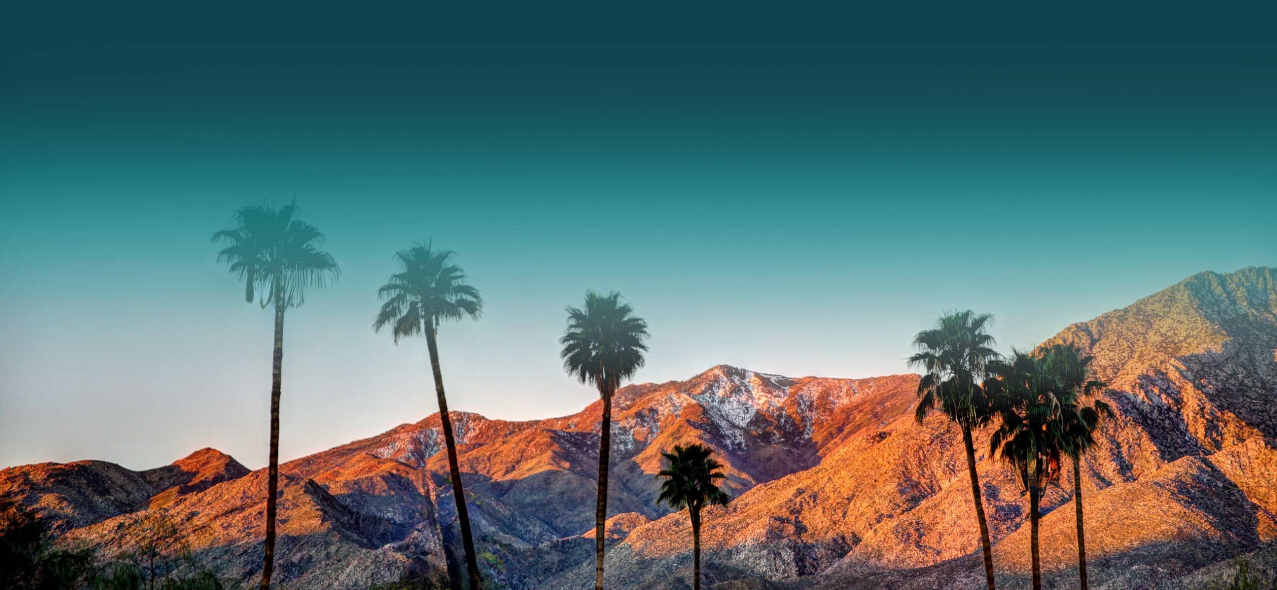 View of southern California mountains with palm trees in the foreground